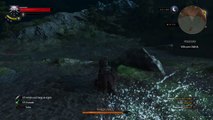 The Witcher 3 WTF MOMENT