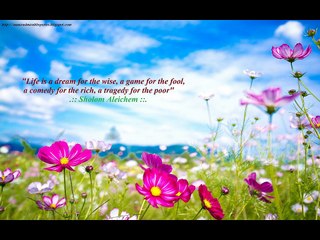 Quotes & Saying About Everything!