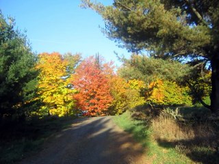 Sing to the Mountains by Bob Dufford - Saint Louis Jesuits: with lyrics