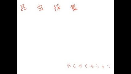 昆虫採集-RCサクセション