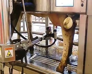 Robot delaval VMS 2012