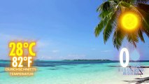 Malediven Wetter - Wann ist die beste Reisezeit für Urlaub auf den Malediven?