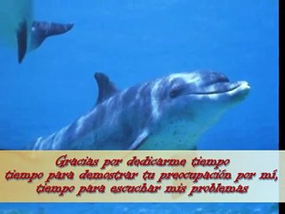 Gracias por tu amistad