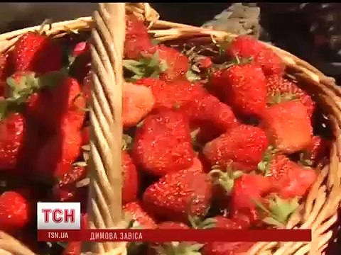 Пожежа на нафтобазі зіпсувала врожай на Київщині