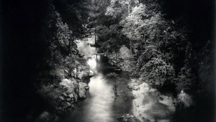 Sally Mann - Deep South - Photography