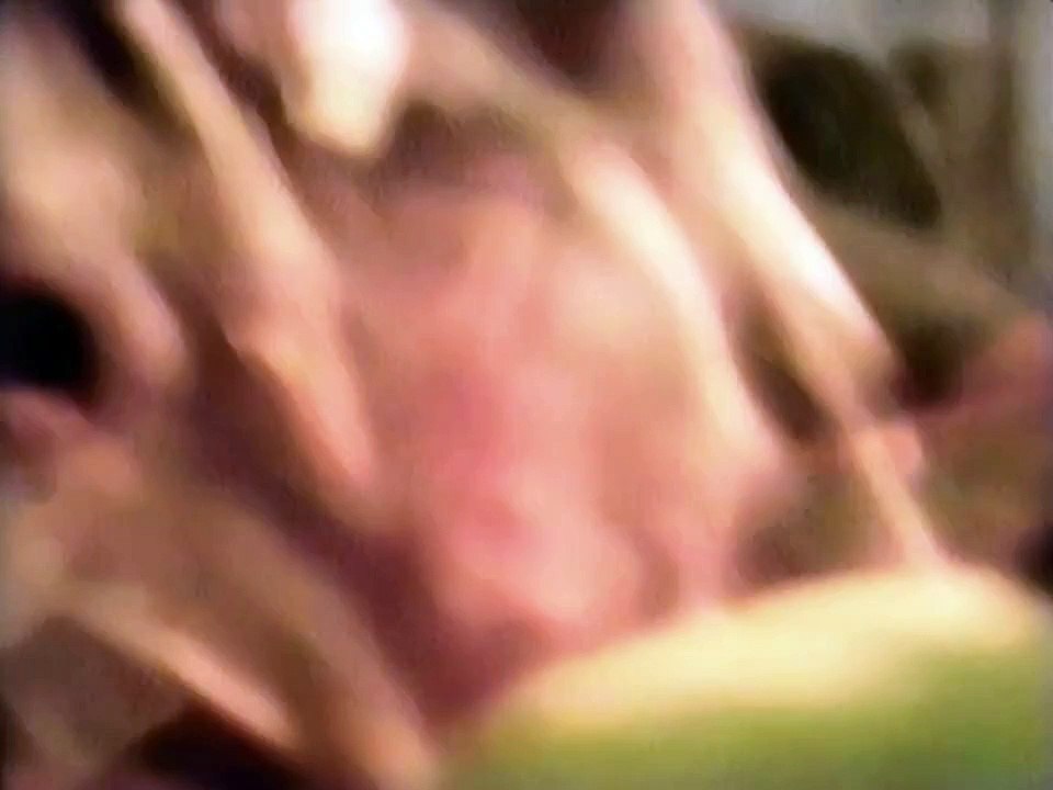 Joni Mitchell - The Hissing Of Summer Lawns