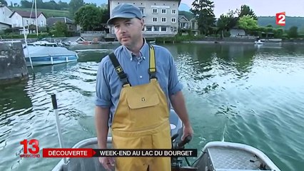 Au lac du Bourget, le lavaret régale les papilles