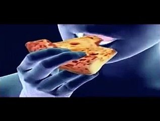 "HEALTH TIPS FOR HEALTHY LIFE" - TAMIL