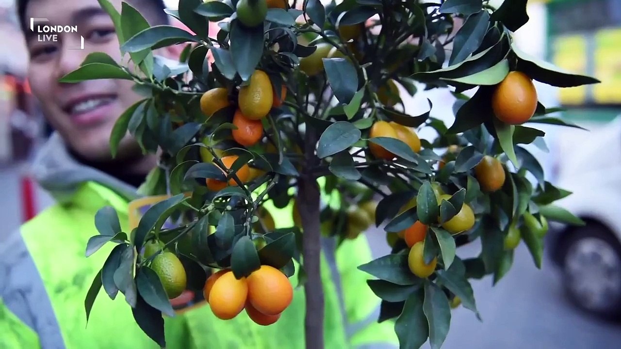 Ken Hom on the history of Chinese Cuisine