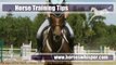 Astonishing Horse Training and Horsemanship Secrets - Horse Whispering