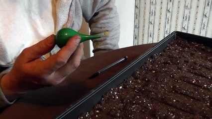 Homemade Precision Seeder