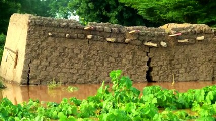 Nigerien Villagers Sow Seeds And Reap Hope