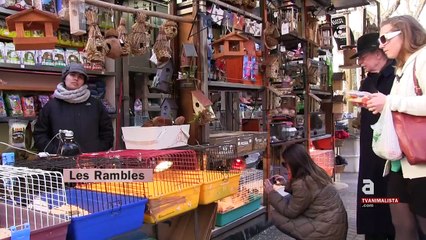 Reactivada la Campaña "Rambles Éticas"