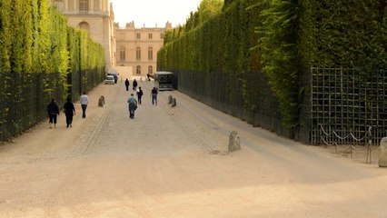 Vimeo 120920-3 Autotrain