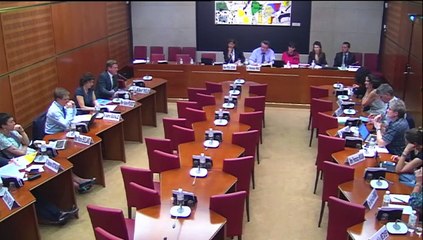 Age du numérique : Audition du Conseil national du numérique à l'assemblée nationale