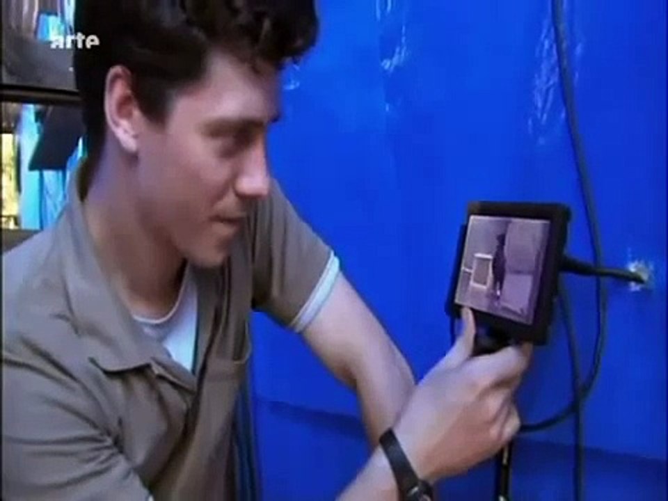 Le Corbeau l'oiseau le plus intelligent !