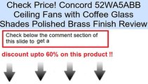 Concord 52WA5ABB Ceiling Fans with Coffee Glass Shades Polished Brass Finish Review