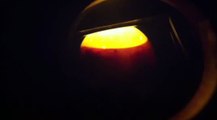 egg candling at day 19