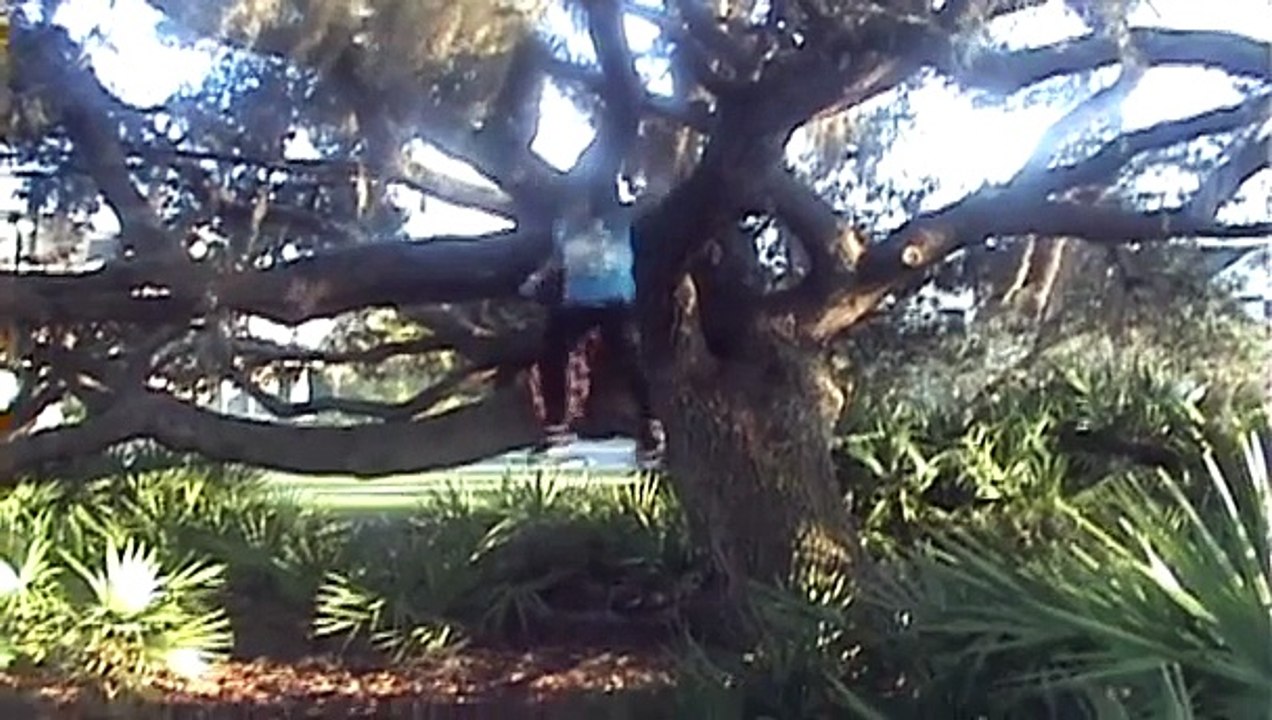 "Moses In The Tree"  (Webisode #7)