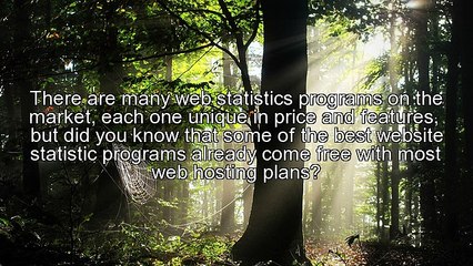 Website Statistics with Cpanel