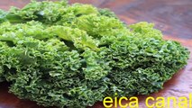 Multiples Beneficios del Kale o Col Verde