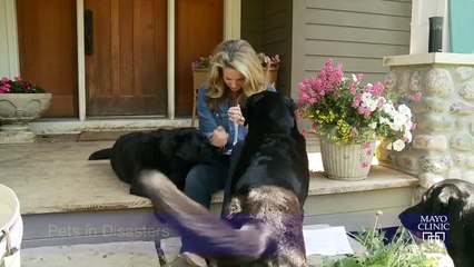 Mayo Clinic News Network Headline 6/5/2015