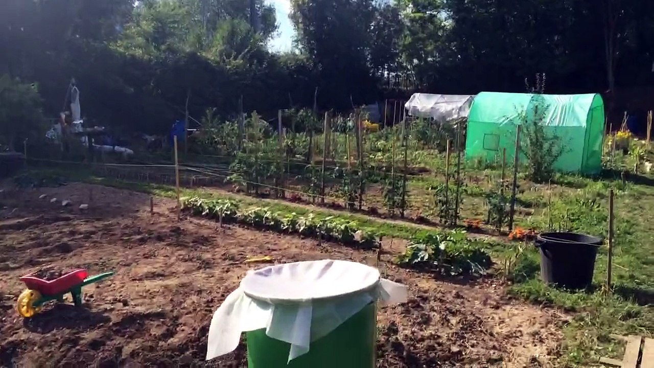 Vue des jardin partagé les jardins d Élise
