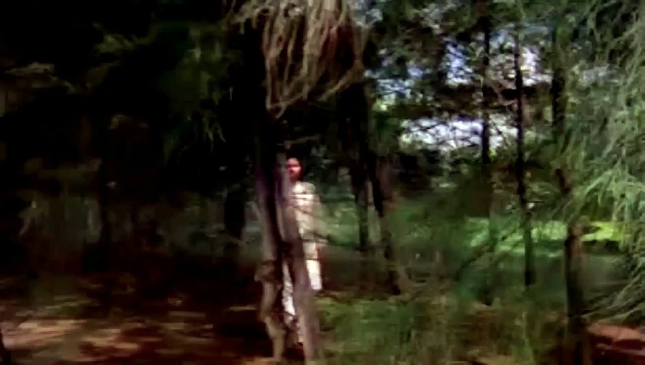 Main Tulsi Tere Aangan Ki - ( Title Song ) Main Tulsi Tere Aangan (1978) 1080p HD