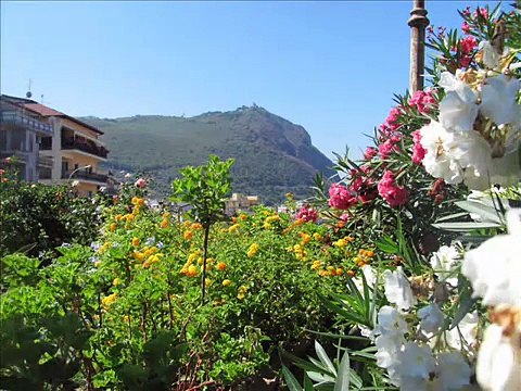 Si maritau Rosa Roberto ALAGNA di Giuseppe Infantino