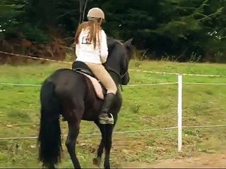 Piaffé et Passage en licol: Bady, Entier Pur race espagnol à l'écurie Macademik'etho