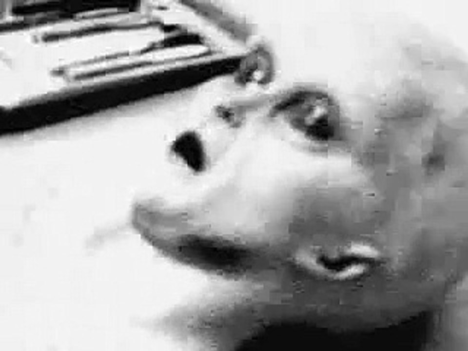 Alien Autopsy 1