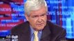 Why is the Left Opposed to American Victory? - Newt Gingrich