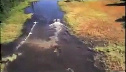 Aerial Hunting of Wolves in Alaska (short version)