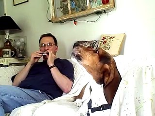 Howl to Joy: Basset sings Beethoven