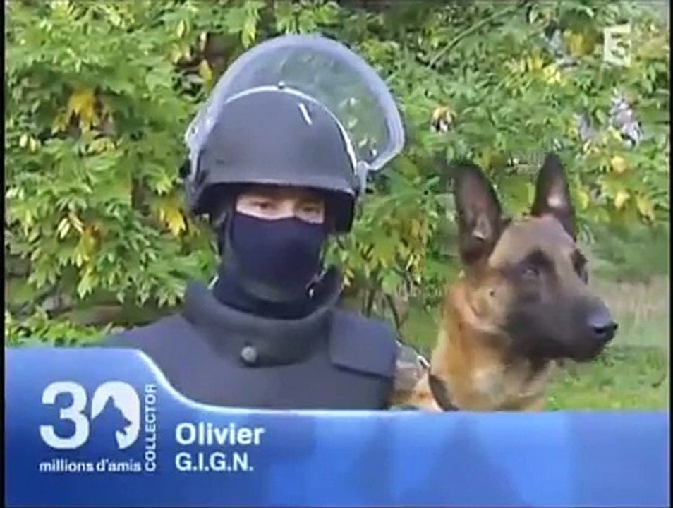 GIGN Chiens gendarmes