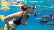 Swimming with Dolphins in Bimini | Sarah's first wild dolphin swim