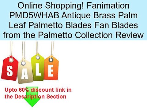 Fanimation PMD5WHAB Antique Brass Palm Leaf Palmetto Blades Fan Blades from the Palmetto Collection Review