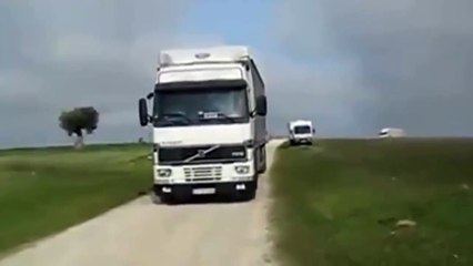 سبحان الله في خلقه منظر يخشع النفوس "حمام بالمئات"