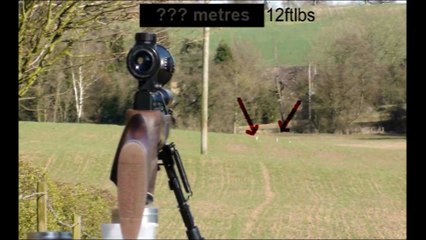 200 metre shooting with a Weihrauch HW100