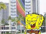Round Bob Sponge Pants, an animated parody of Sponge Bob Square Pants
