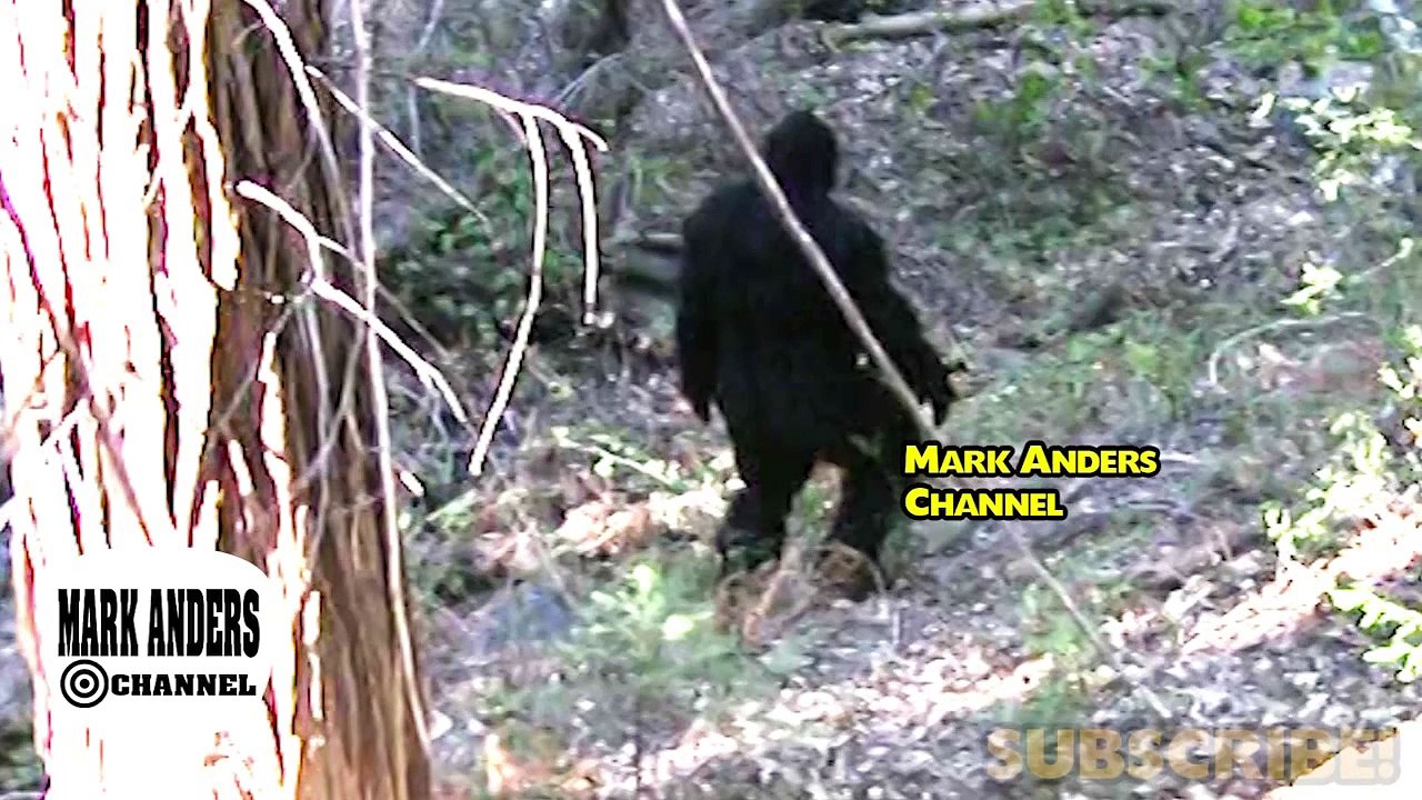 Bigfoot and Bili Ape