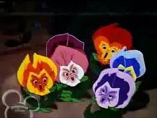 Ay Que Noche Tan Preciosa - Canción de Cumpleaños