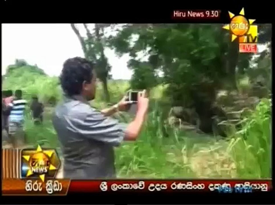 vidya kulapathi(p.n)psychologyhiru tv news20150619rajapaksagama