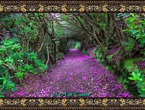 GÜLAY *Gurbet Bana Köyüm Sana* (KÖR YILAN)