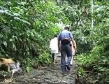 Cataratas Velo de las ninfas, Tingo María, Jumgla Exploration Perú