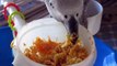 Ethel and Zaz  Tymneh and Congo African Grey Parrots.. Eating Noodles, Sweet Potato