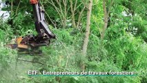 FNEDT - Les Entrepreneurs de Travaux Forestiers