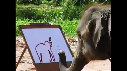 ELEFANTE PINTOR animales increibles