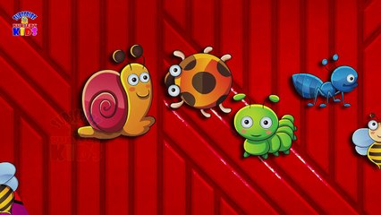 Finger Family (TURBO) Nursery Rhymes for Childrens Babies and Toddlers