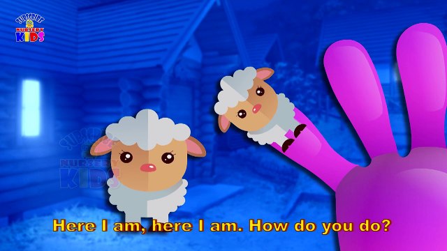 Elephant & More Cute panda, sheep,Dog,black Cat, Cartoons | Finger Family Children Nursery Rhymes